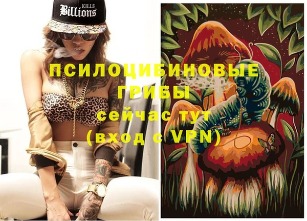 бошки Арсеньев